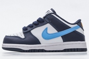 Kids Dunk SB E43